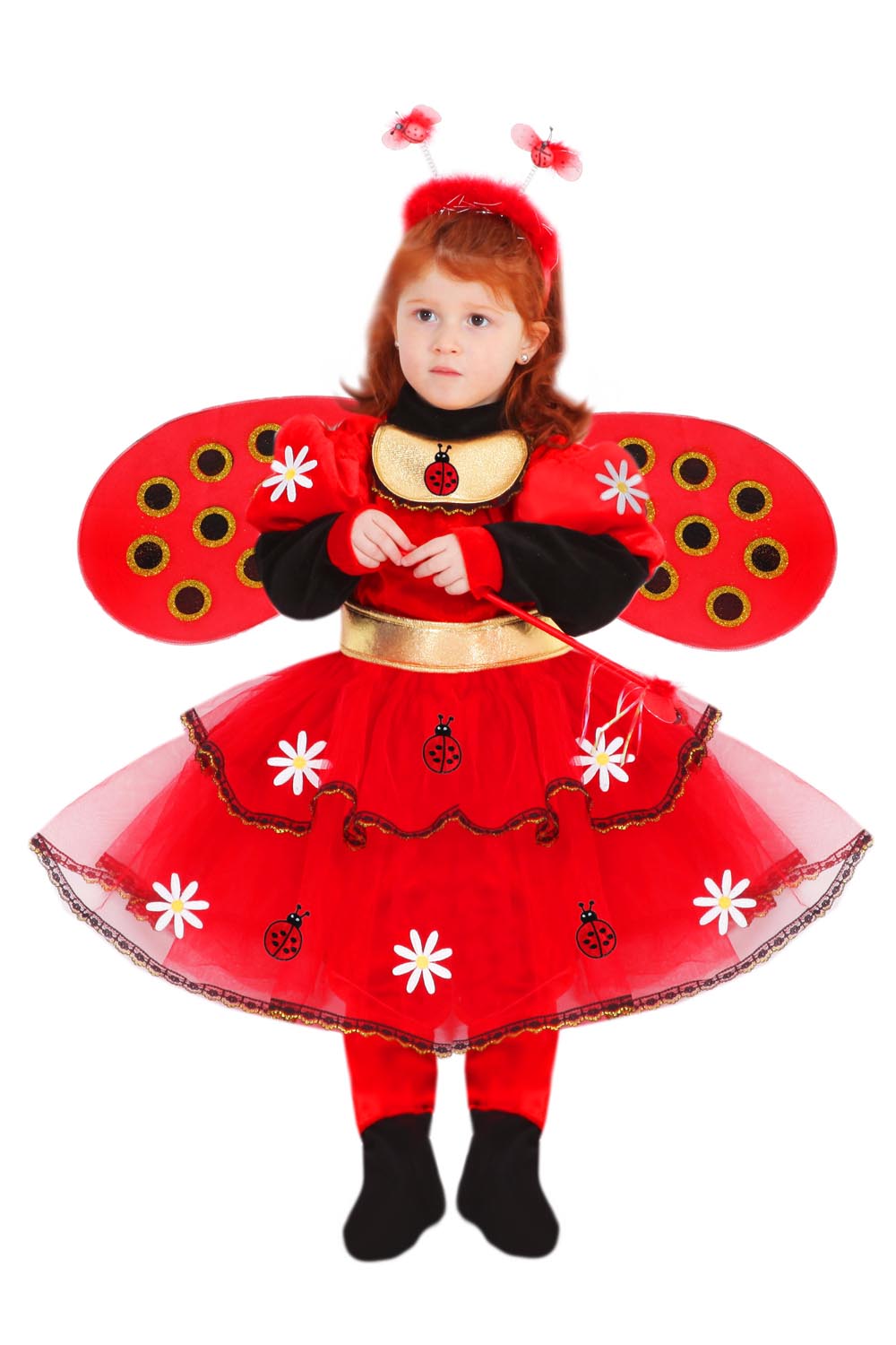 COCCINELLA